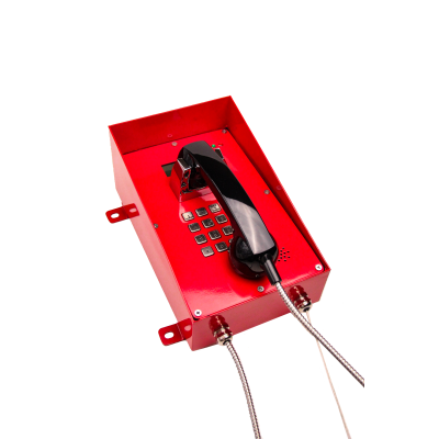 Промышленный антивандальный SIP телефон ЭД216К/ИЛ-SIP