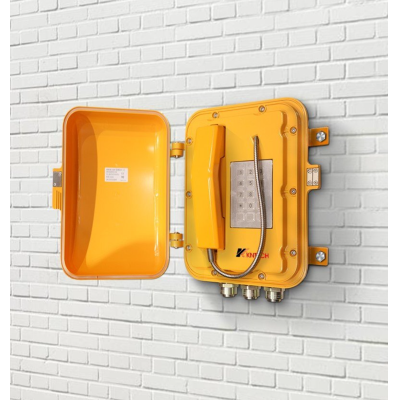 Взрывозащищенный телефон аналоговый, с опциями (маяк, громкоговоритель) KNEX6 