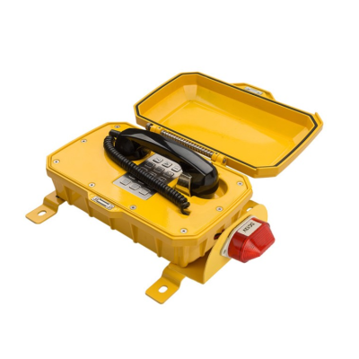 Промышленный всепогодный аналоговый телефон с фонарем TALK-1206-L