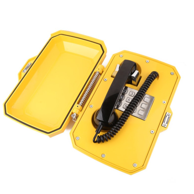 Промышленный всепогодный аналоговый телефон с рупором TALK-1207-NL