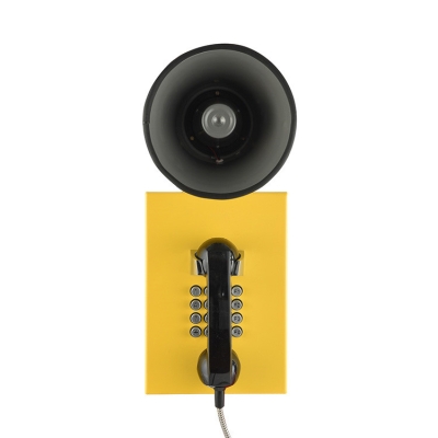 Промышленный всепогодный аналоговый телефон с рупором TALK-1209