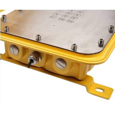 Всепогодное промышленное переговорное устройство TALK-6305