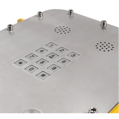 Всепогодное промышленное переговорное устройство TALK-6306