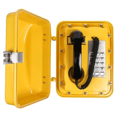 Промышленный всепогодный IP-телефон