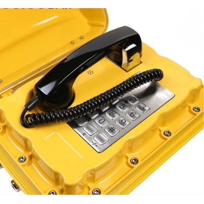 Промышленный всепогодный IP-телефон TALK-3801