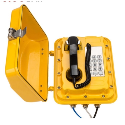 Промышленный всепогодный IP-телефон с рупором TALK-3802