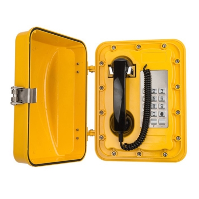 Промышленный всепогодный IP-телефон с рупором TALK-3802