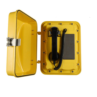 Промышленный всепогодный IP-телефон прямого вызова