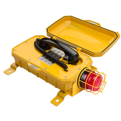 Промышленный всепогодный IP-телефон с фонарем TALK-3810-L