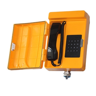 Промышленный всепогодный IP-телефон