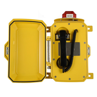 Промышленный всепогодный IP-телефон прямого вызова с рупором и фонарем TALK-3809-AD