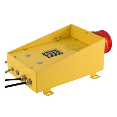 Промышленный всепогодный IP-телефон с фонарем TALK-3822