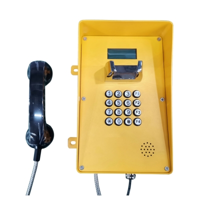 Промышленный всепогодный IP-телефон с дисплеем TALK-3845