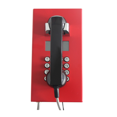 Промышленный всепогодный антивандальный IP-телефон с дисплеем TALK-3823