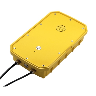 Всепогодное промышленное переговорное устройство