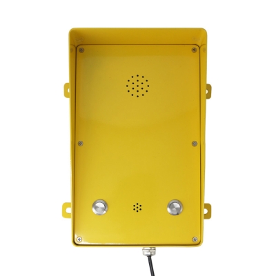 Промышленный всепогодный аналоговый интерком TALK-1316-2S