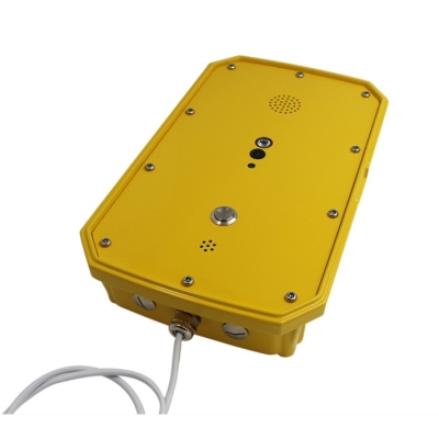 Промышленное всепогодное видеопереговорное IP-устройство TALK-3841