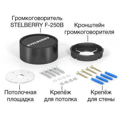 Переговорное устройство F-250B