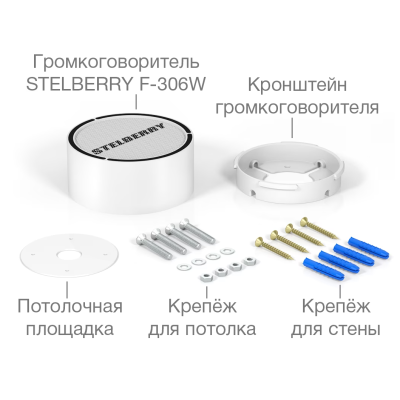 Переговорное устройство Громкоговоритель Stelberry F-306W