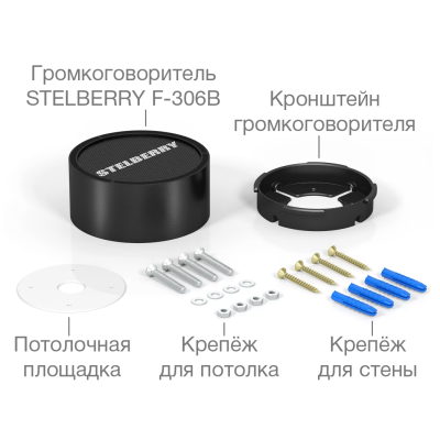 Переговорное устройство F-306B