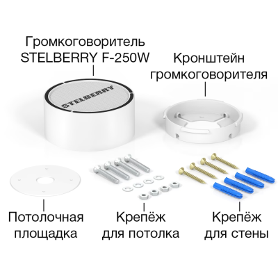 Переговорное устройство F-251W