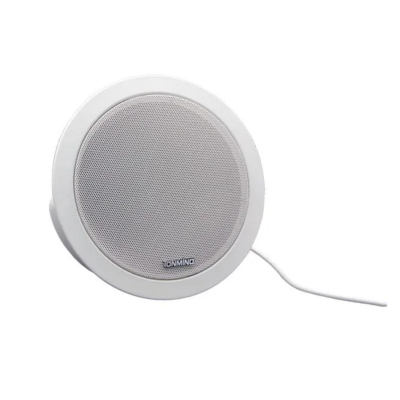 Потолочный активный IP-громкоговоритель с микрофоном SIP-S01M