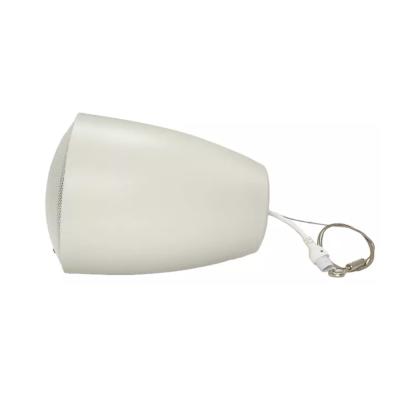 Подвесной IP-громкоговоритель SIP-S61T