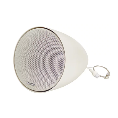 Подвесной IP-громкоговоритель SIP-S61T