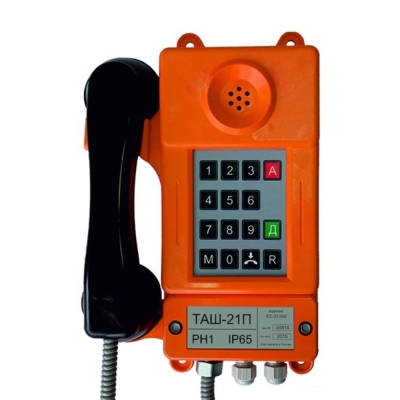 ТАШ-21ПА-IP Всепогодный промышленный IP телефон